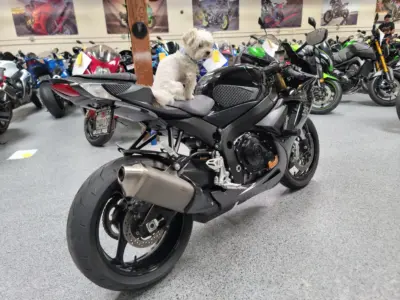 2013 Suzuki GSXR 750