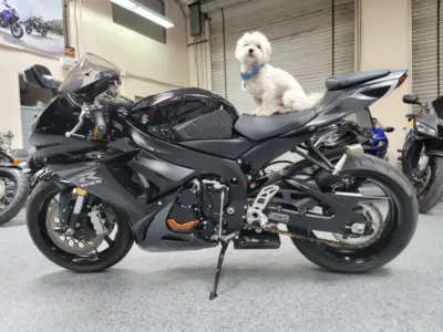 2013 Suzuki GSXR 750