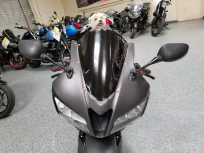 2008 Honda CBR600RR Graffiti Edition