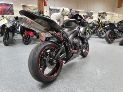 2008 Honda CBR600RR Graffiti Edition