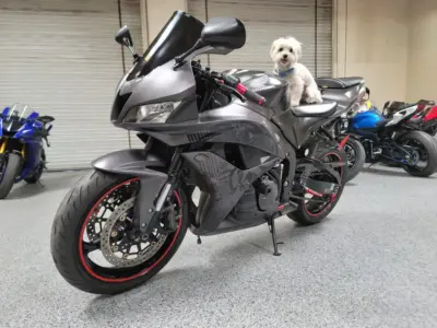 2008 Honda CBR600RR Graffiti Edition