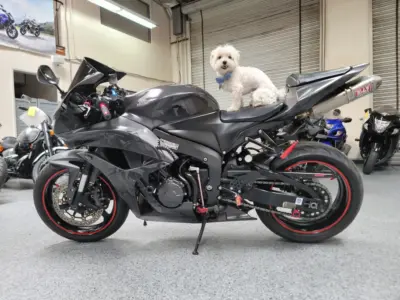 2008 Honda CBR600RR Graffiti Edition