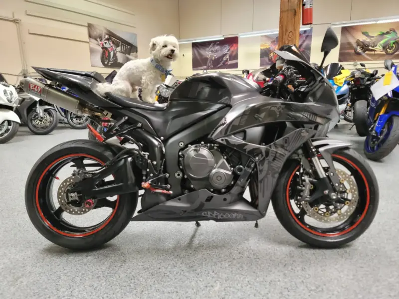 2008 Honda CBR600RR Graffiti Edition