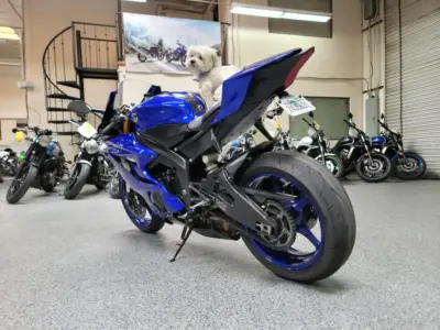2018 Yamaha R6