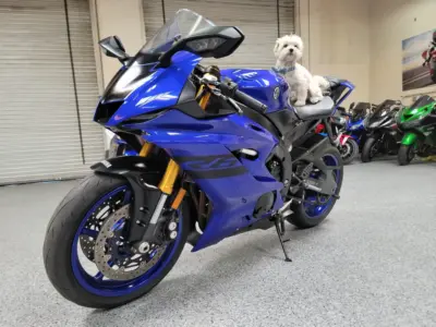 2018 Yamaha R6