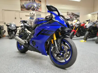 2018 Yamaha R6