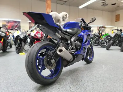 2018 Yamaha R6