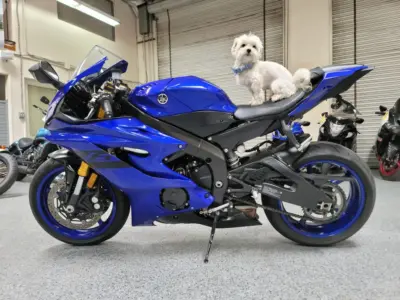 2018 Yamaha R6