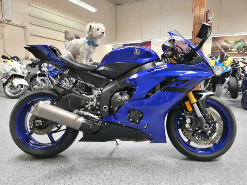 2018 Yamaha R6