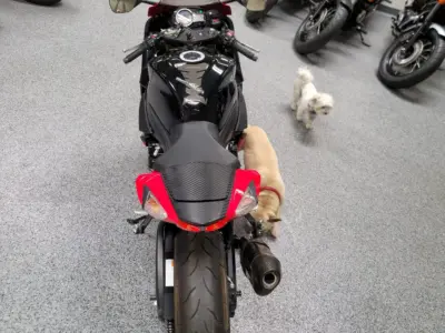 2014 Suzuki GSXR 750 YOSHIMURA SPECIAL EDITION