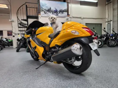 2013 Suzuki Hayabusa GSX1300R