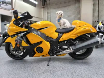 2013 Suzuki Hayabusa GSX1300R