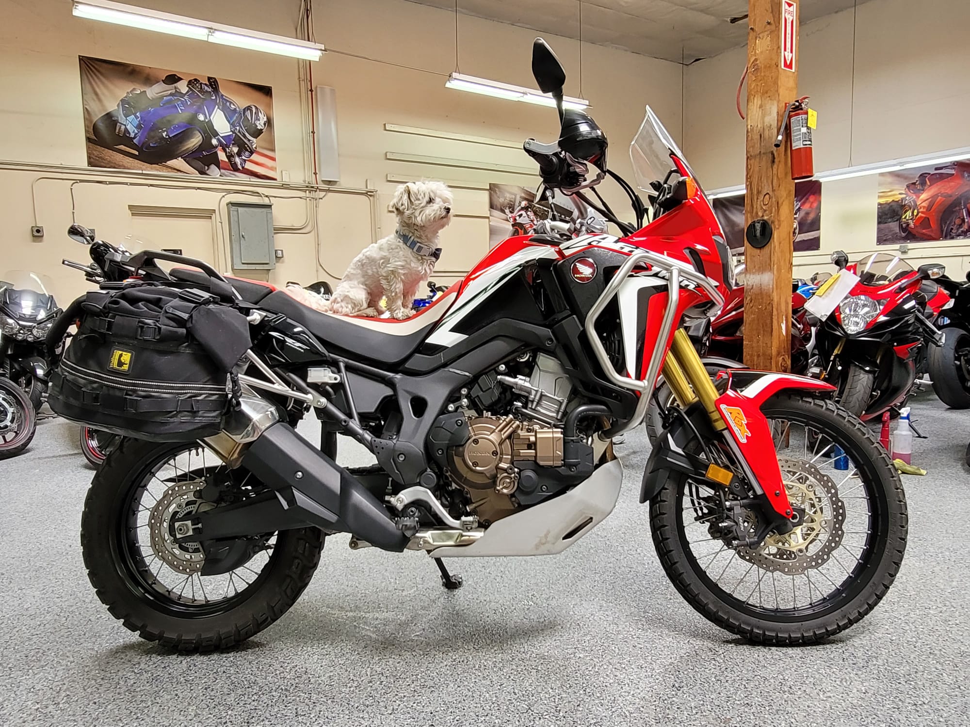 2016 africa twin dct
