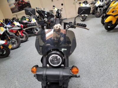 2012 Honda Shadow Phantom