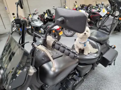 2012 Honda Shadow Phantom