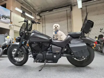 2012 Honda Shadow Phantom