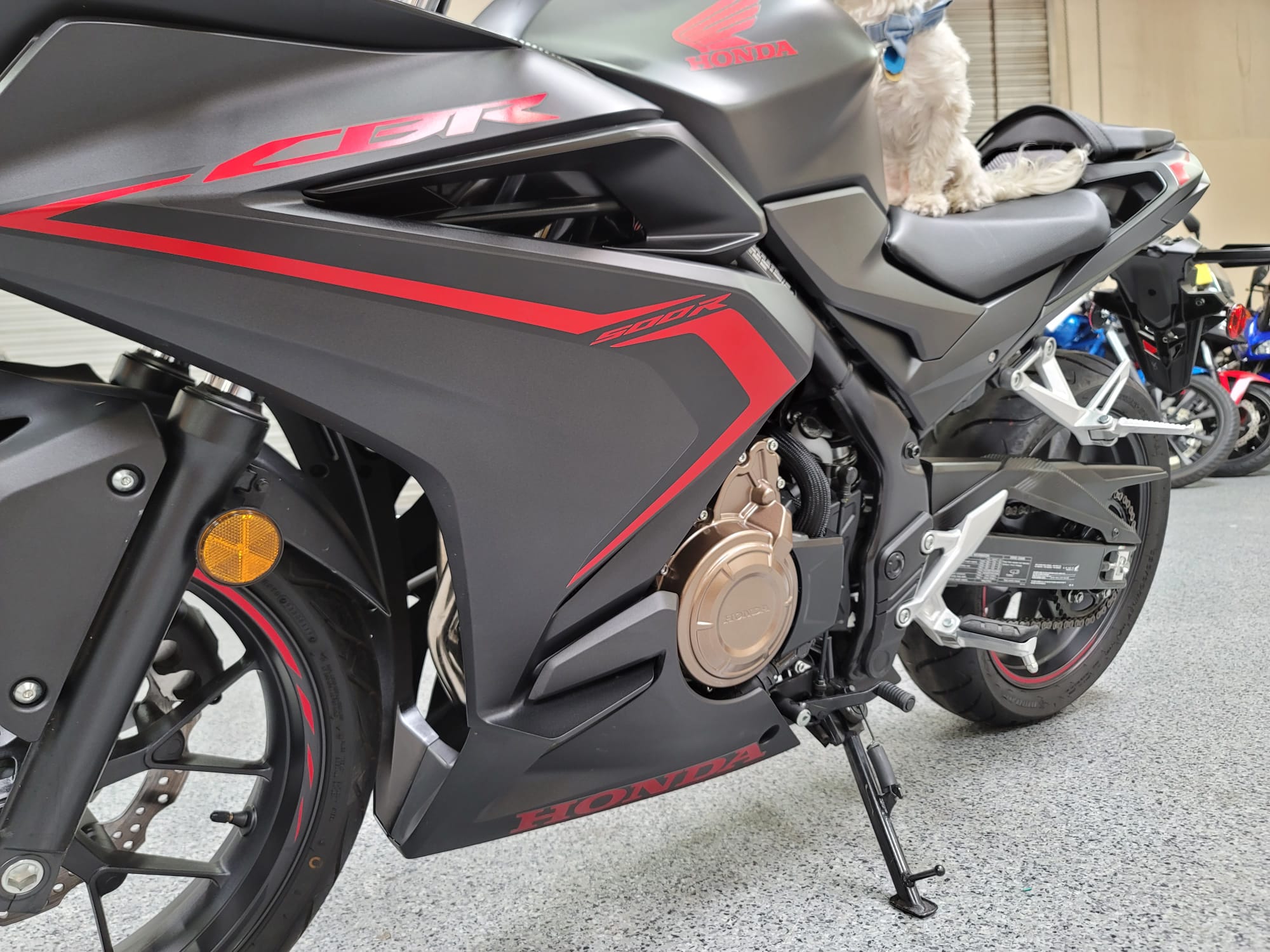 衝撃特価-CBR500R(201•9年～2021年)用Artudat - saaevermelhonovo.mg