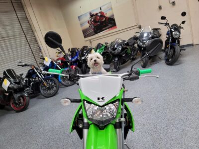 2018 Kawasaki KLX250
