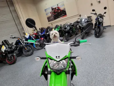 2018 Kawasaki KLX250