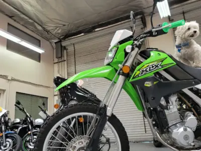 2018 Kawasaki KLX250
