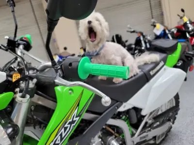 2018 Kawasaki KLX250