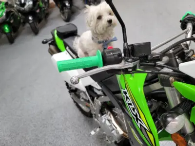 2018 Kawasaki KLX250