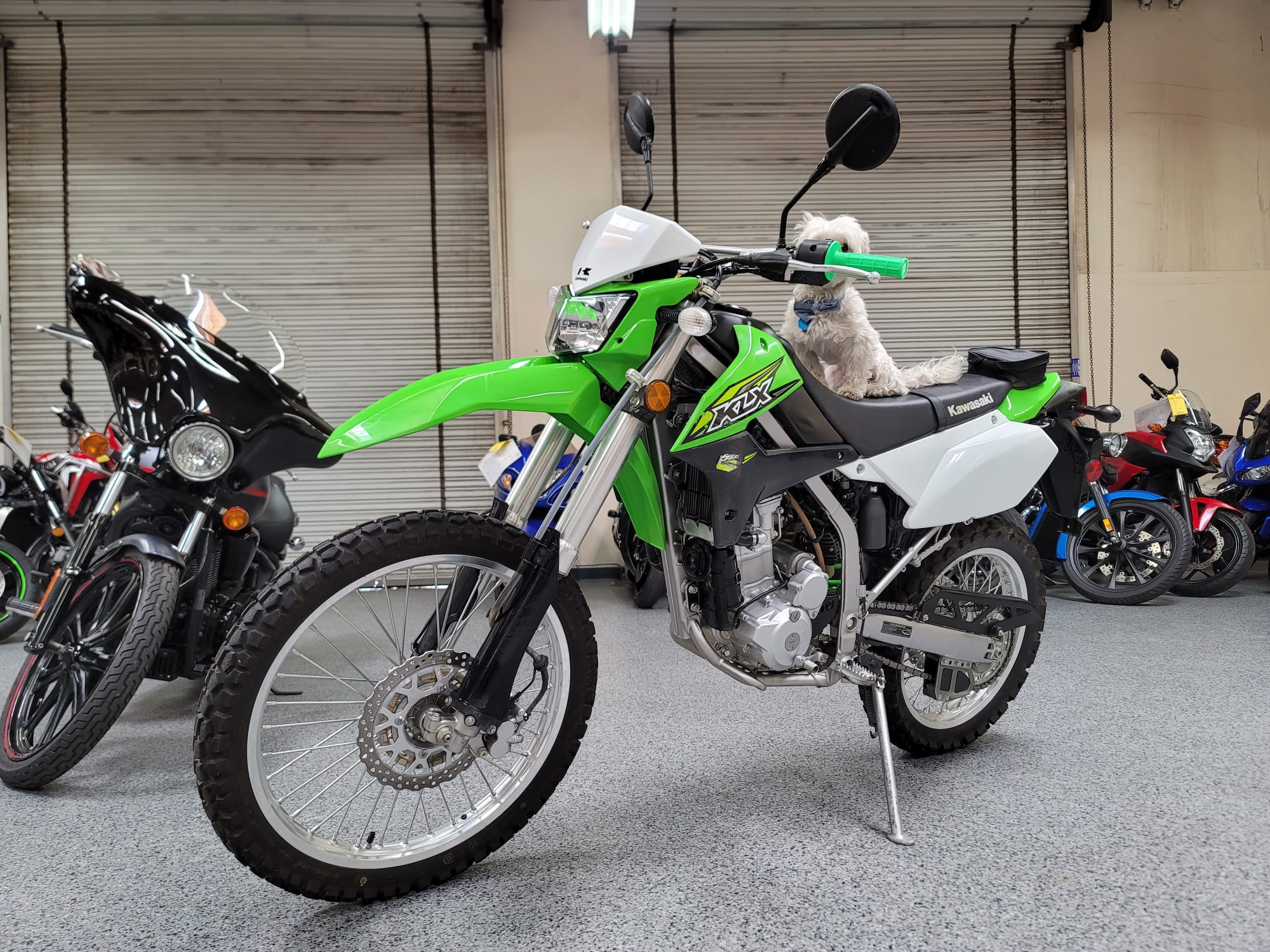 2019 kawasaki klx250