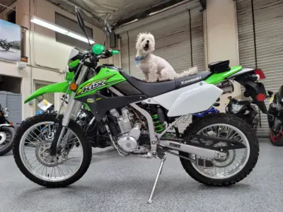 2018 Kawasaki KLX250