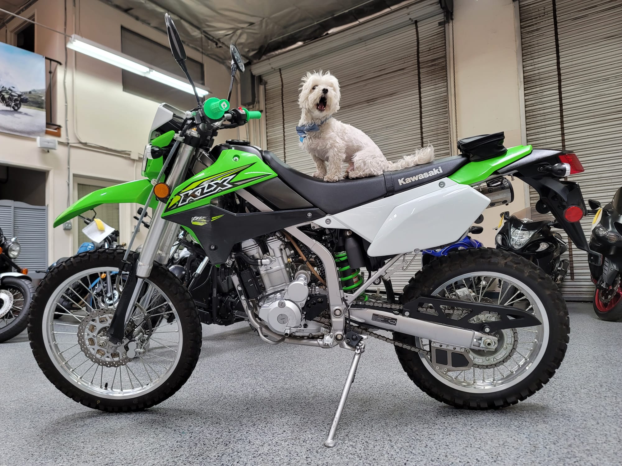 2020 kawasaki klx 250 for sale