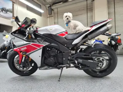 2012 Yamaha R1 Crossplane 50TH ANNIVERSARY