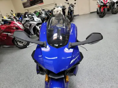 2019 Yamaha R1