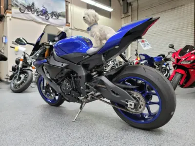2019 Yamaha R1