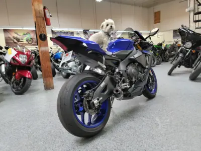 2019 Yamaha R1