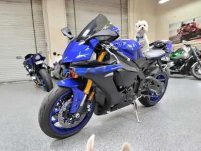 2019 Yamaha R1