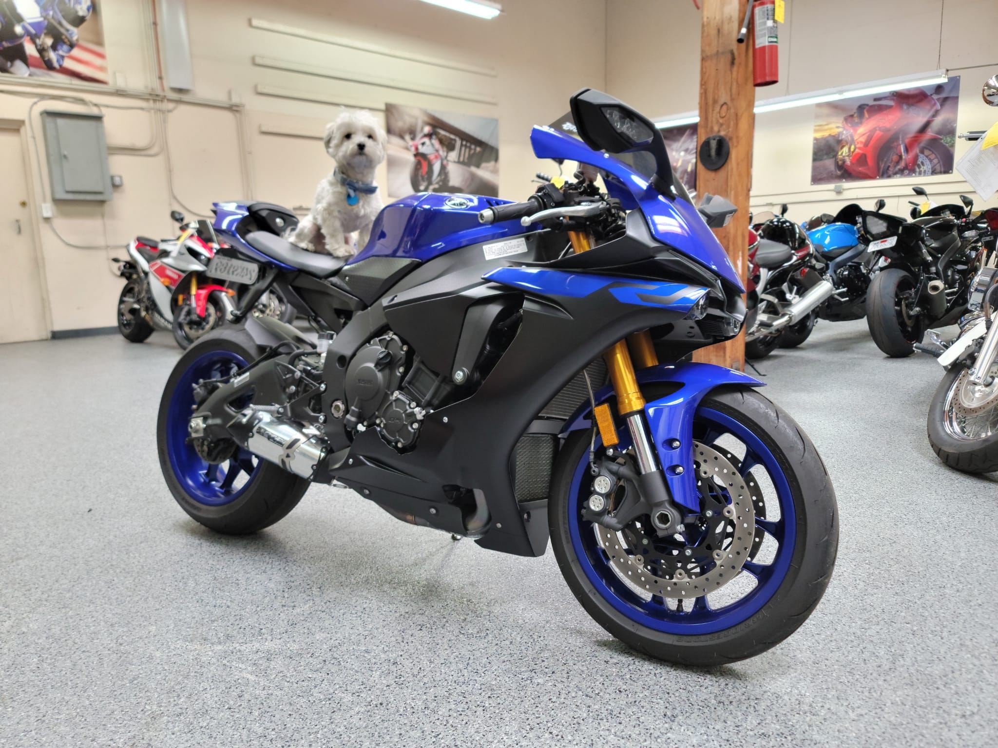 2019 Yamaha R1 - 1600 Miles 