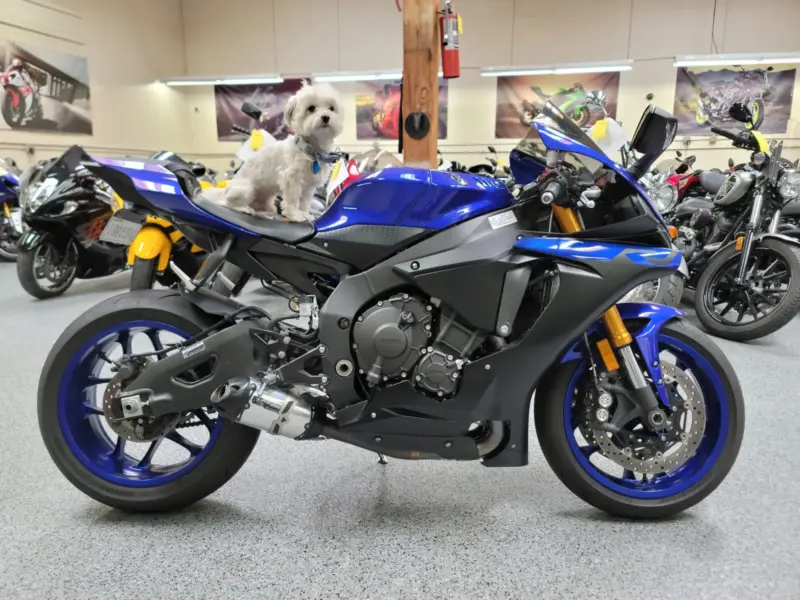 2019 Yamaha R1
