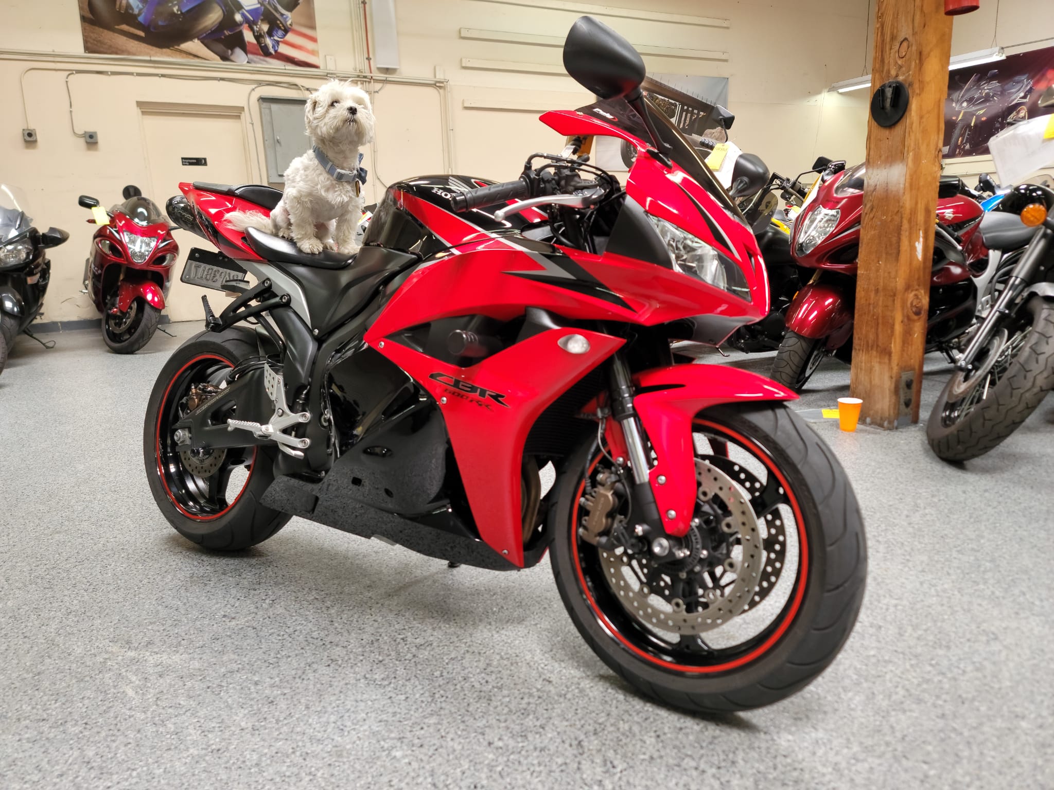 Honda cbr600rr 2009