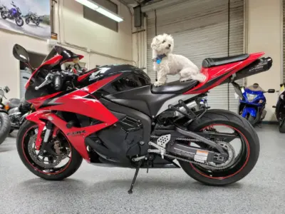 2009 Honda CBR600RR ABS