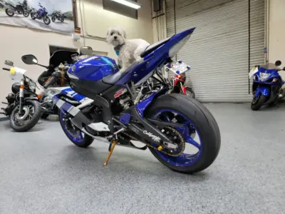 2016 Yamaha R6