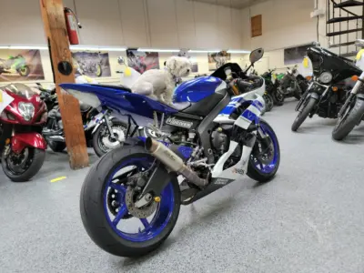 2016 Yamaha R6