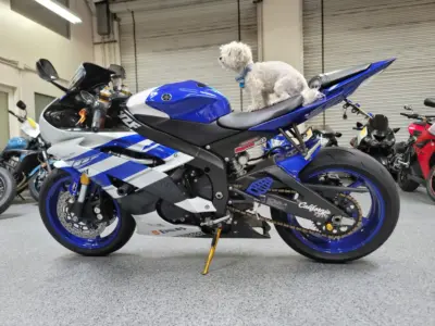 2016 Yamaha R6