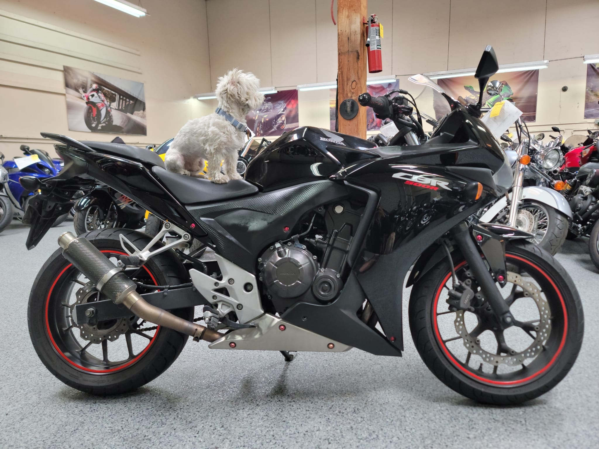 2013 Honda CBR500R CBR 500 27000 Miles AK Motors