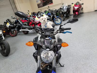 2016 Yamaha FZ07 FZ-07
