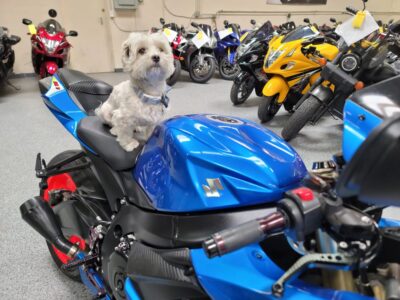2011 Suzuki GSXR 750