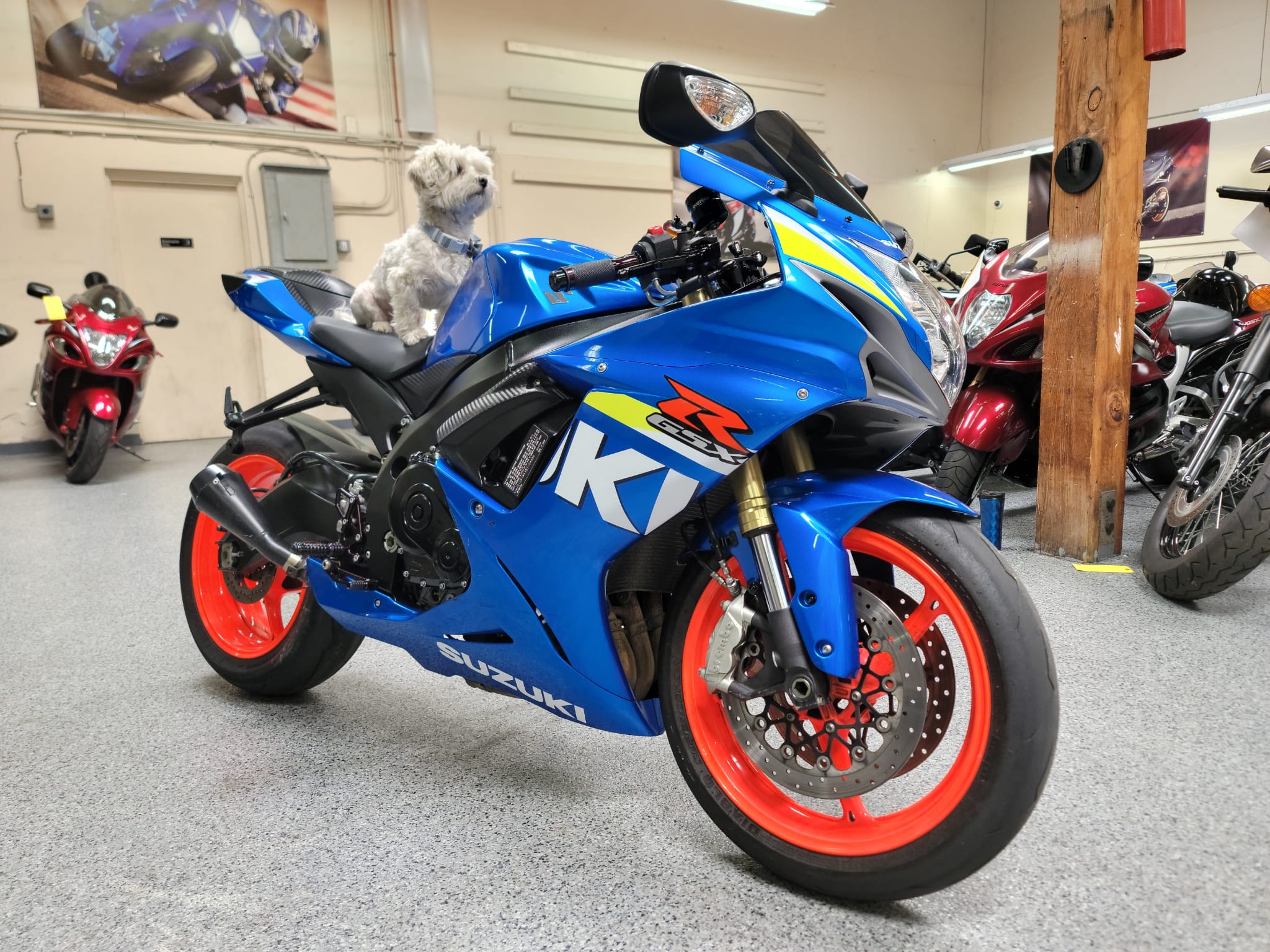 2011 Suzuki GSXR 750 - 16000 Miles | AK Motors