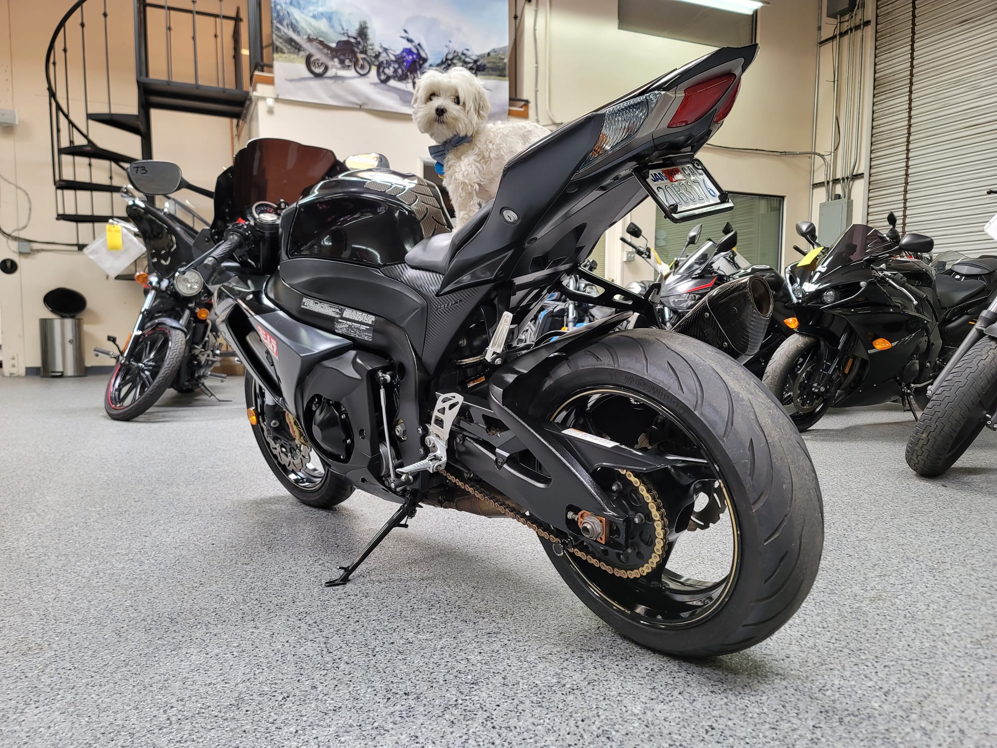 Suzuki gsxr 1000 2013