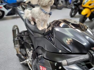 2013 Suzuki GSXR 1000