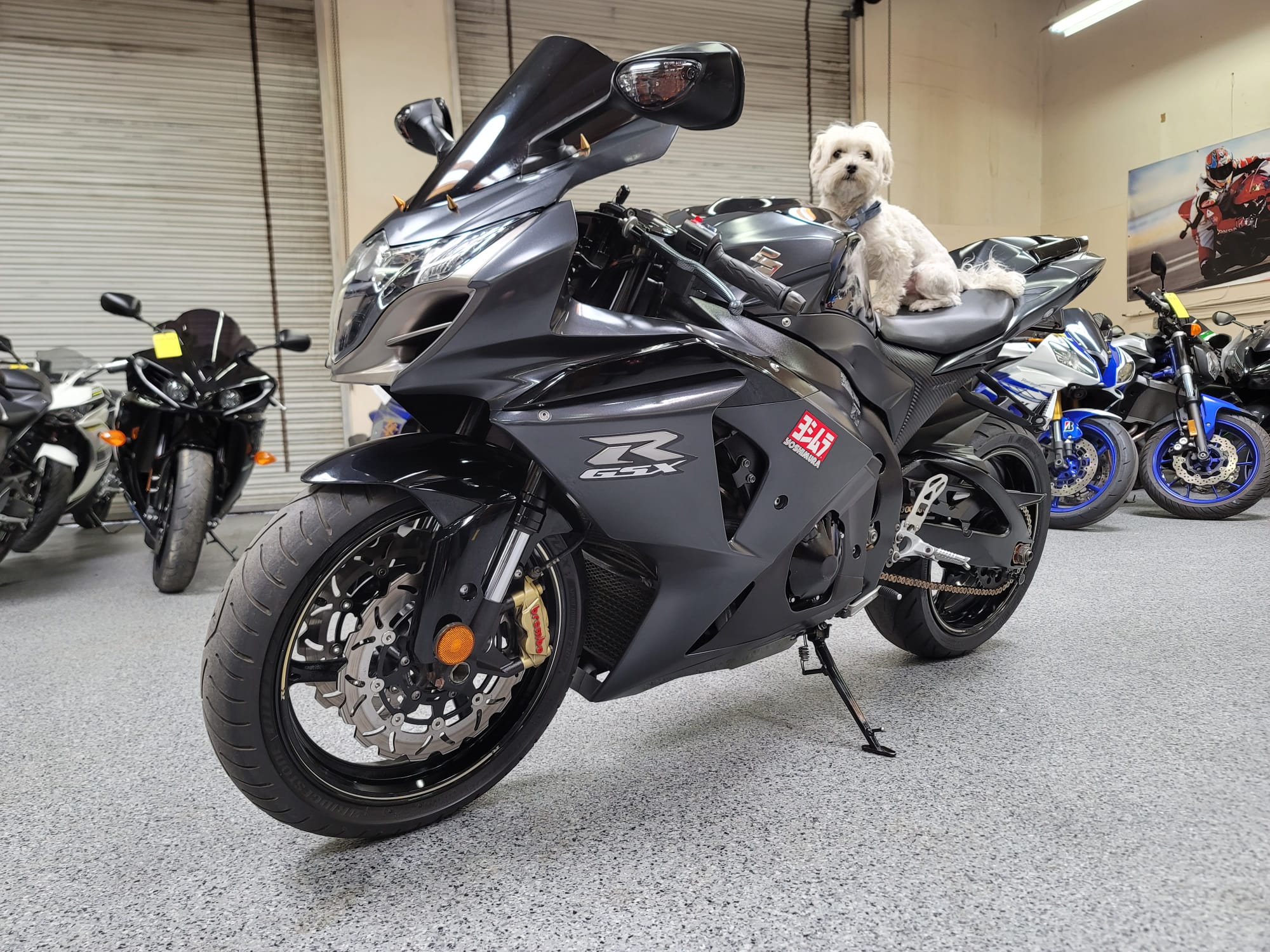 Suzuki gsxr 1000 2013