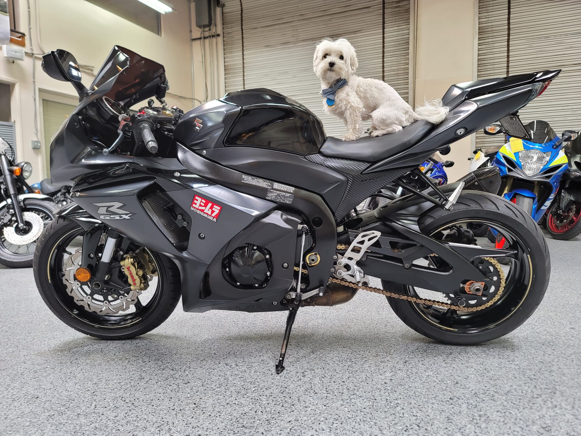 Suzuki gsxr 1000 2013