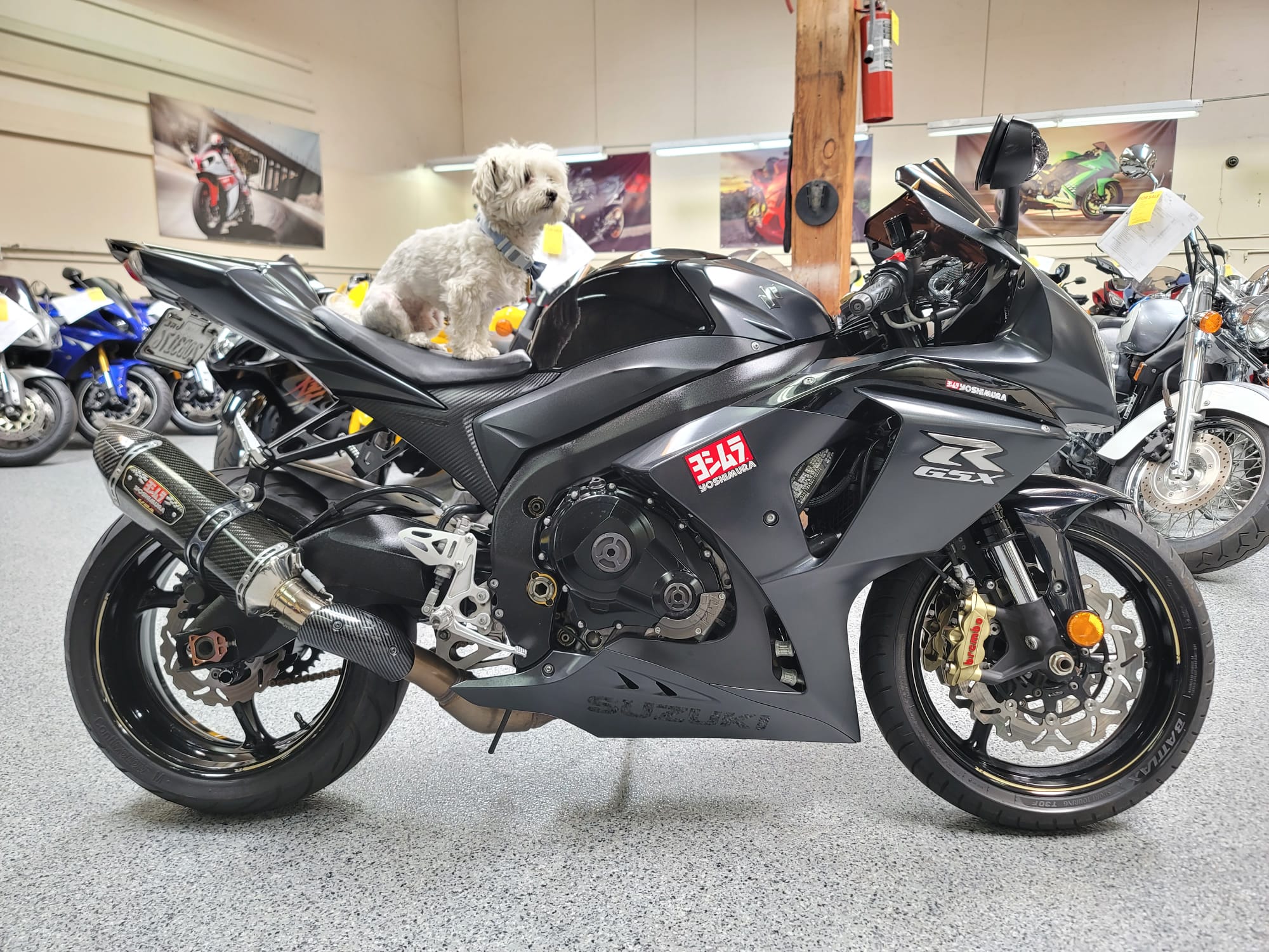 Suzuki gsxr 1000 2013